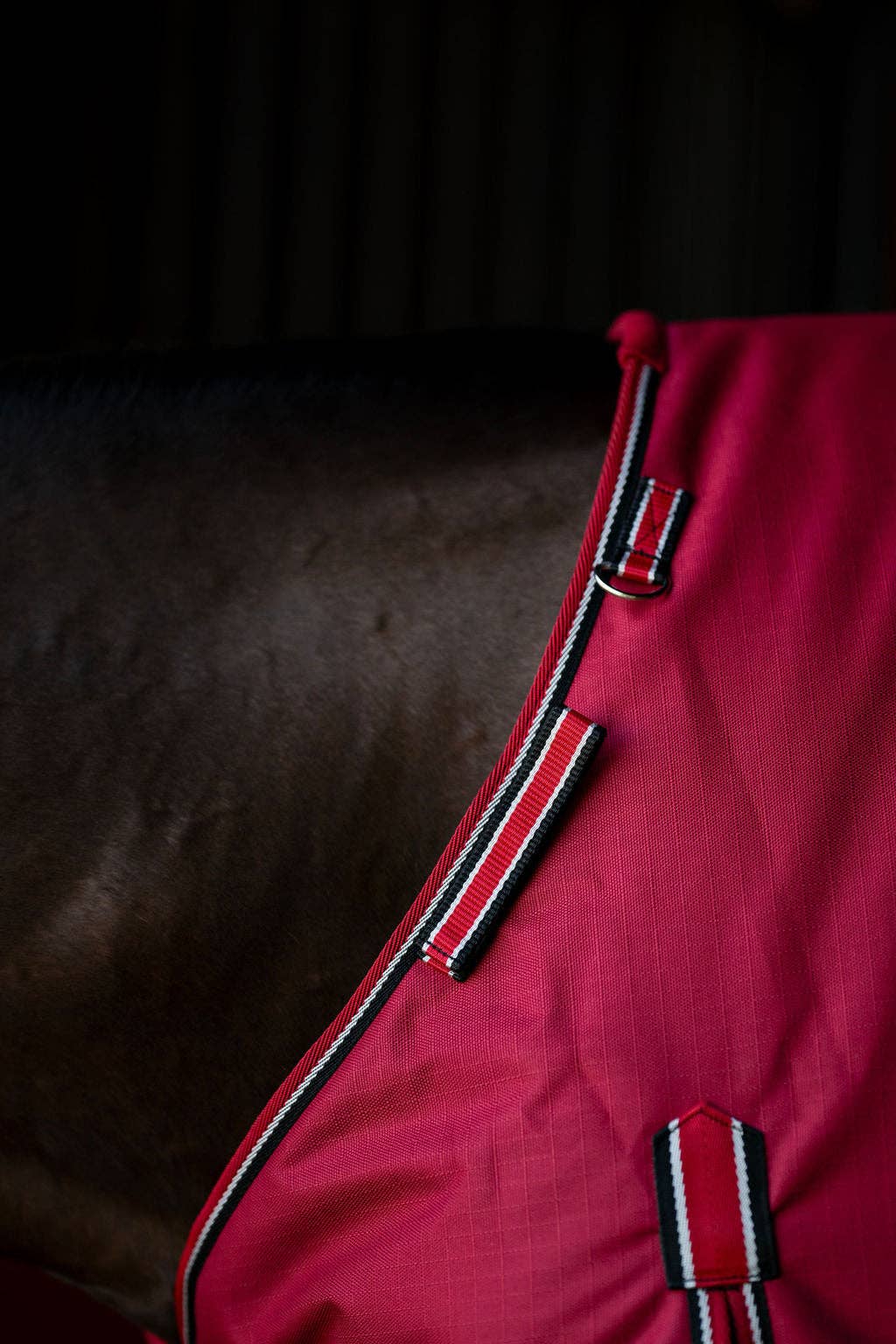 Horse wearing a red and black medium weight, 200g polyfil, 1200D turnout blanket in a stable. Features an adjustable neck.