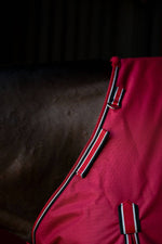 Load image into Gallery viewer, Horse wearing a red and black medium weight, 200g polyfil, 1200D turnout blanket in a stable. Features an adjustable neck.
