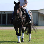 Load image into Gallery viewer, SoGlo GroTape - No-Pull Mane &amp; Tail Tape
