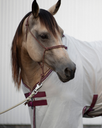 Load image into Gallery viewer, Hay Chix® Buckle Safety Covers
