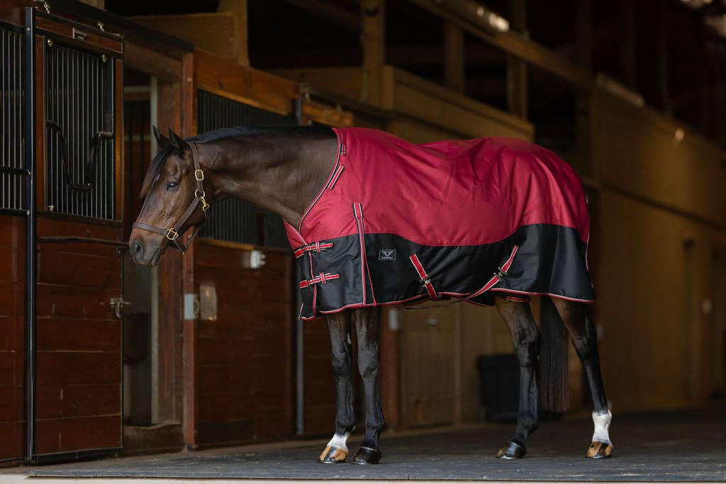 Horse wearing a red and black medium weight, 200g polyfil, 1200D turnout blanket in a stable.