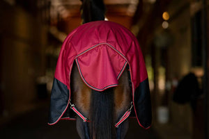 Horse wearing a red and black medium weight, 200g polyfil, 1200D turnout blanket in a stable. Features a large tail flap.