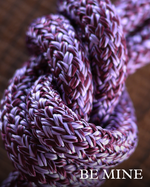 Load image into Gallery viewer, Hay Chix Redemption High Class (Snap) Lead Rope
