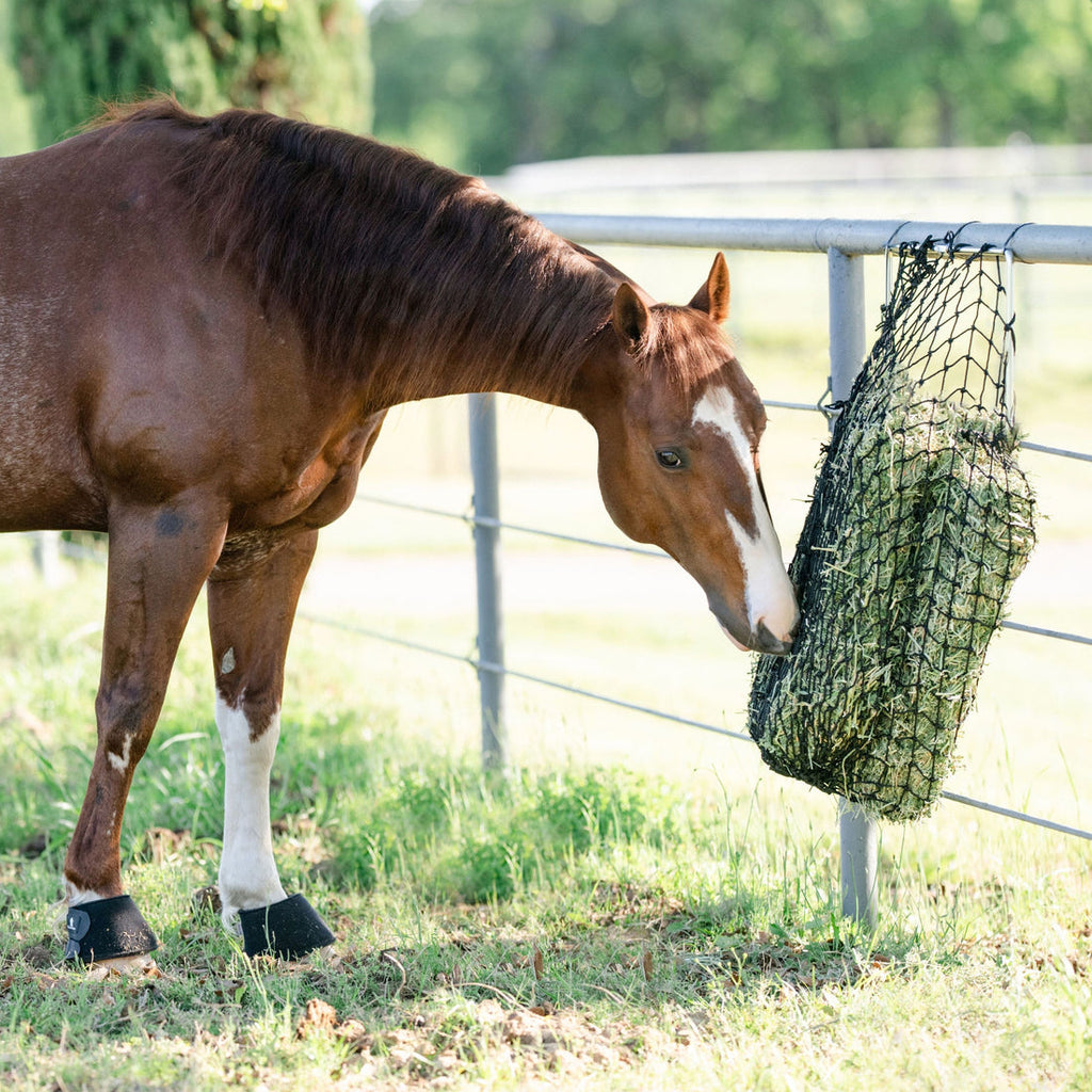 The Hay Chix Panel Feeder is perfect for metal panels or wooden fences. Easily feed your horse from outside the pen!