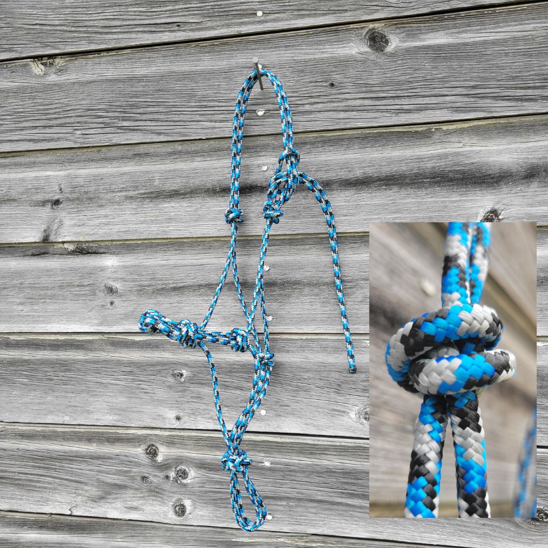 Blue, silver, and black yearling size four-knot rope halter.