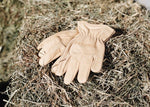 Load image into Gallery viewer, Hay Chix Leather Chore Gloves
