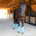 Load image into Gallery viewer, Jeffers Romper Stomper &quot;Stomp Free&quot; Fly Boots - Set of 4
