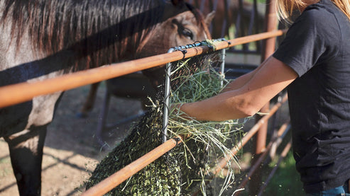 Hay Chix® Panel Feeder *Special Order