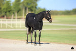 Load image into Gallery viewer, Equine Full-Body Slinky with Antimicrobial Shield
