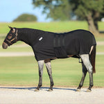 Load image into Gallery viewer, Equine Full-Body Slinky with Antimicrobial Shield
