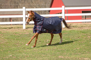 Tuffrider 1200D Comfy Medium Weight Turnout Blanket w/ Detachable Neck