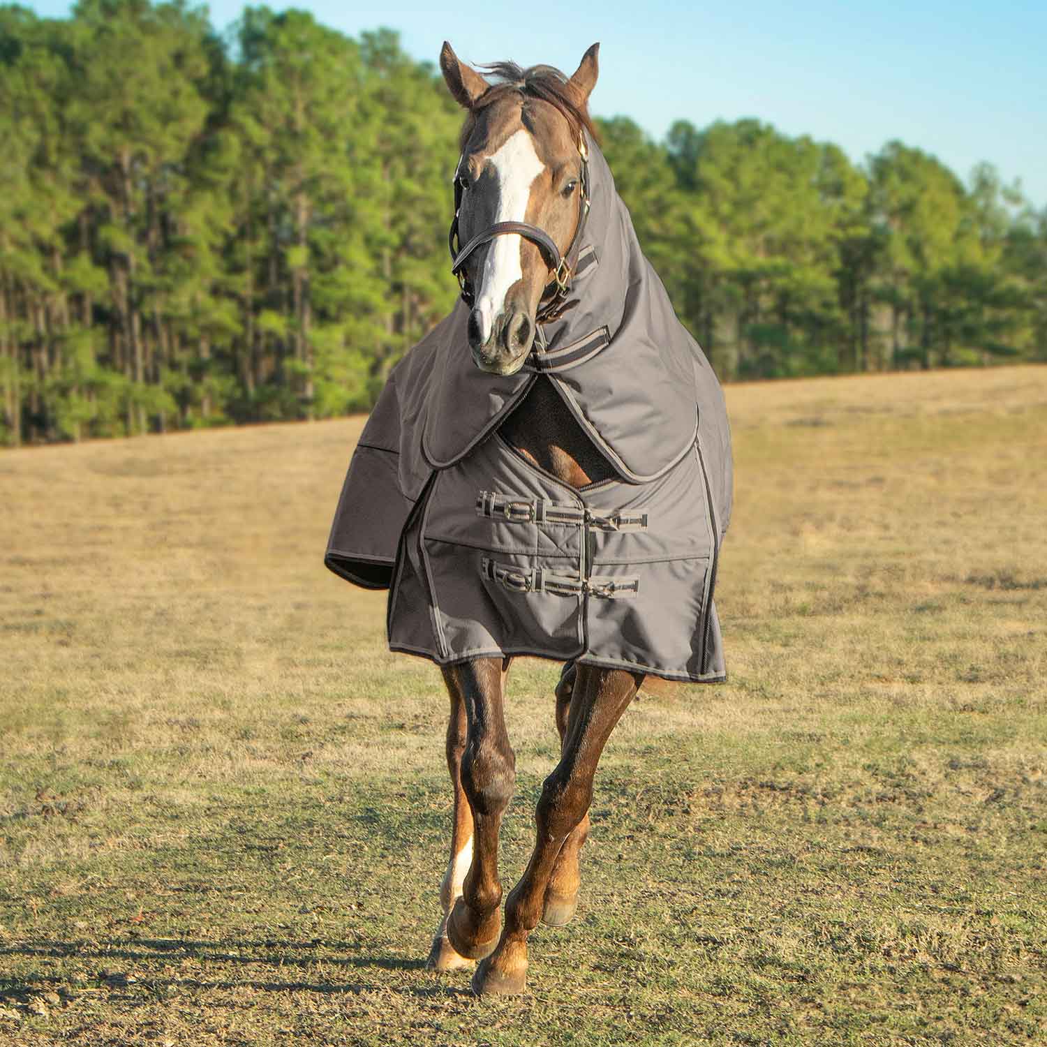 75" Jeffers Poplar Head Defense 1680 Denier Turnout Blanket with Detachable Neck - Med. Weight