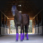 Load image into Gallery viewer, Jeffers Romper Stomper "Stomp Free" Fly Boots - Set of 4
