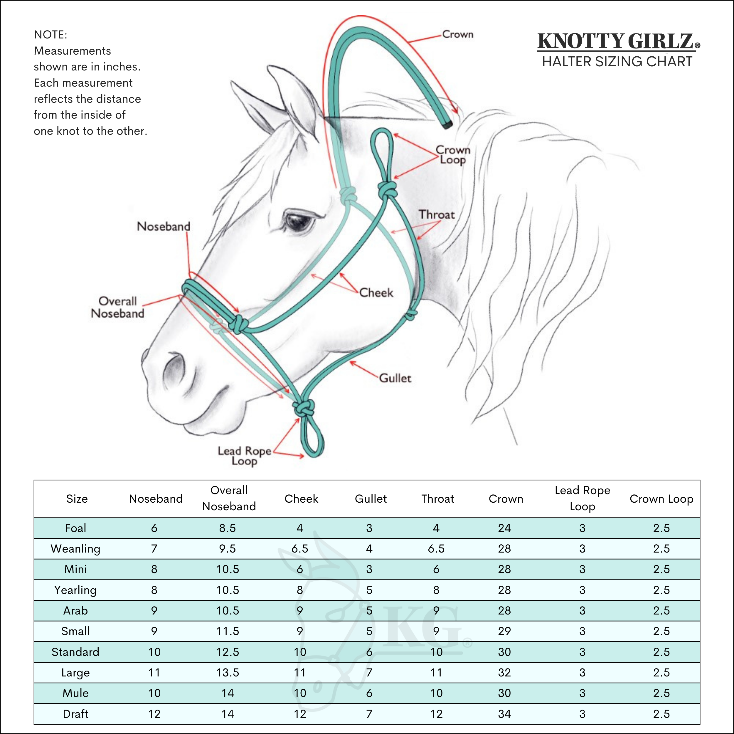 STANDARD SIZE Clinician Style Stiff 4-Knot Rope Halter and 12' Lead Set