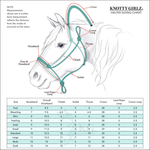 Load image into Gallery viewer, STANDARD SIZE Clinician Style Stiff 4-Knot Rope Halter and 12&#39; Lead Set
