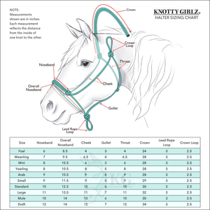 YEARLING Clinician Style Stiff 4-Knot Halter and Lead Set