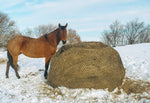 Load image into Gallery viewer, 6&#39; Large Bale Net - Hay Chix
