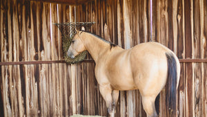 Hay Chix® Hay Rack *Special Order